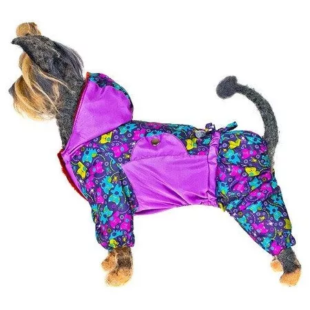 Комбинезон для собак Happy Puppy Забава для сук, Мультиколор;розовый, Комбинезон для собак Happy Puppy Забава M для сук
Комбинезон для собак Happy Puppy Забава для сук, Мультиколор;розовый, Комбинезон для собак Happy Puppy Забава M для сук