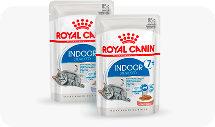 Корм royal canin для пожилых кошек