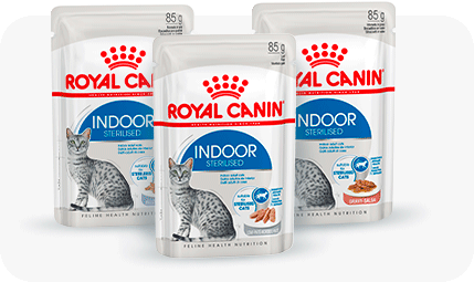 Корм сухой royal canin indoor для кошек живущих в помещении