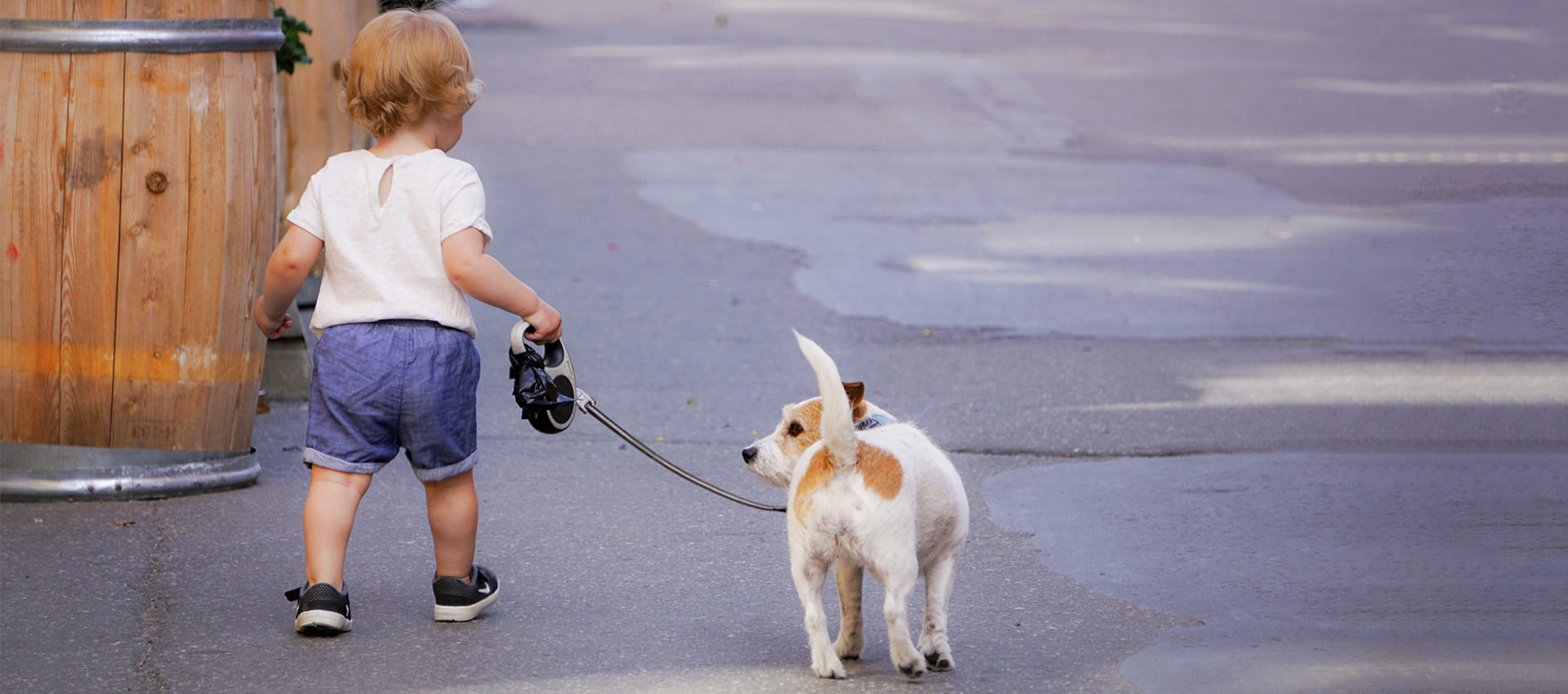 Выгул собак детьми: нормы закона и первичный инструктаж