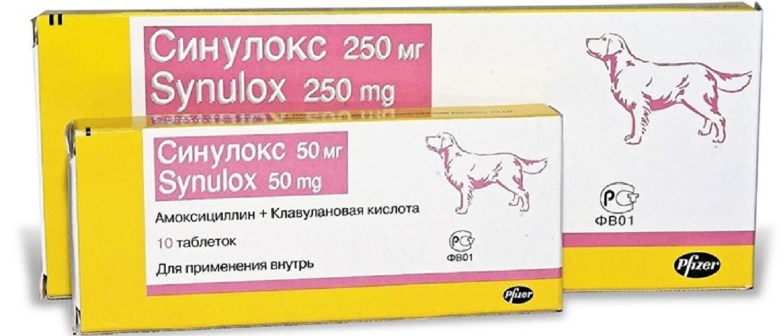 Какие антибиотики для собак. Антибиотик для собак синулокс 50. Синулокс 250 мг. Синулокс 250 мг для собак. Синулокс для кошек 250мг.