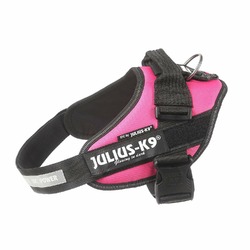 Julius-K9 шлейка для собак IDC-Powerharness 1, 63-85 см/ 23-30 кг, темно-розовая