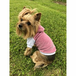 Толстовка с капюшоном OSSO-fashion для собак любого возраста миниатюрных мелких и средних пород из велюра розового цвета - р. 20
