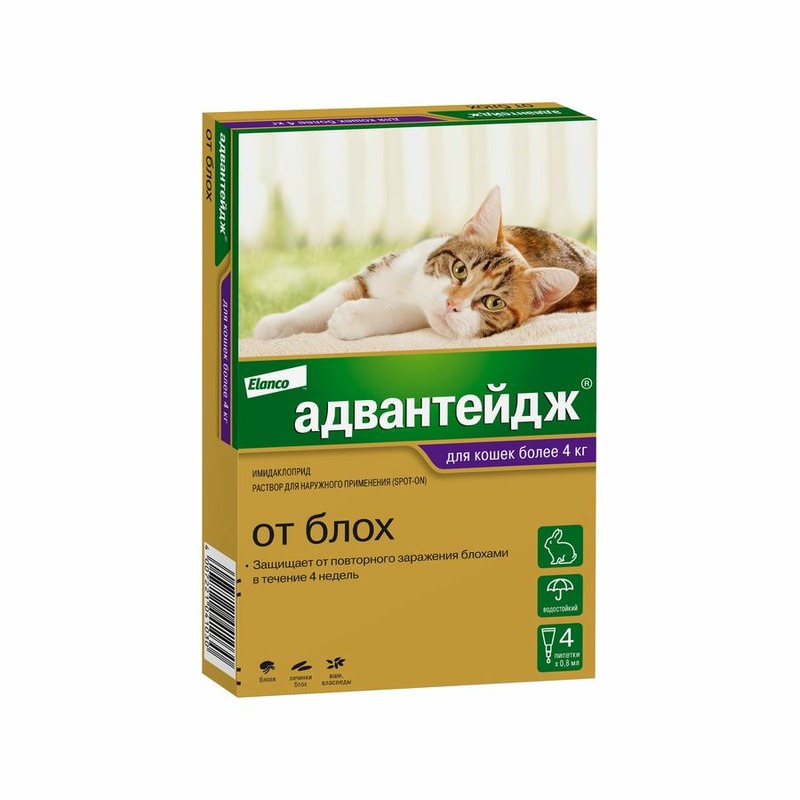 цена Elanco Адвантейдж капли от блох для кошек весом более 4 кг - 4 пипетки