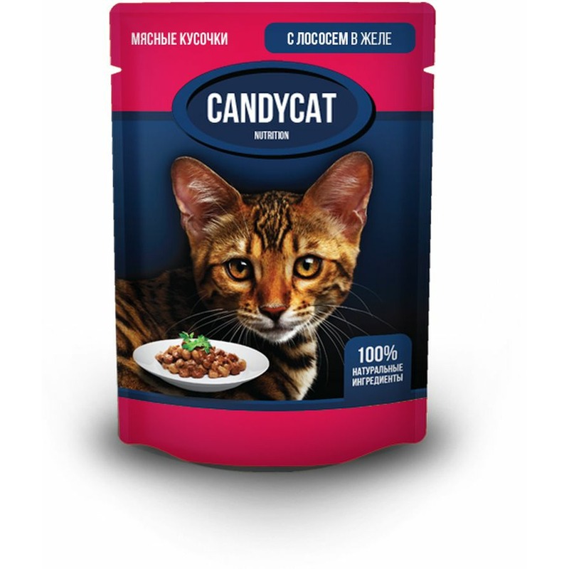 Candycat полнорационный влажный корм для кошек, с лососем, кусочки в желе, в паучах - 85 г cat chow полнорационный влажный корм для кошек с лососем и зеленой фасолью кусочки в желе в паучах 85 г