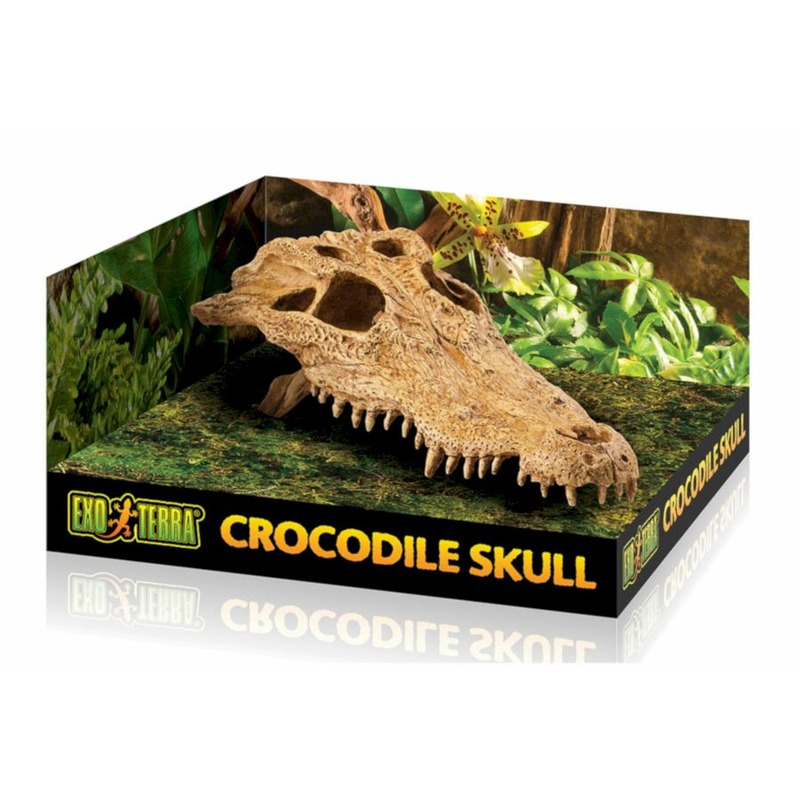 artuniq crocodile skull искусственная декорация череп крокодила Exo Terra убежище-декор Череп крокодила 23х12х7 (PT2856)