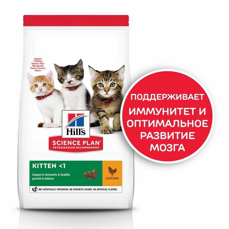 цена Hills Science Plan Kitten Chicken сухой корм для котят для здорового роста и развития, с курицей - 1,5 кг