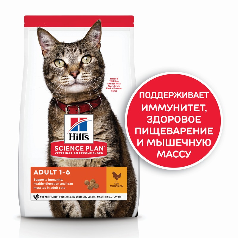 Hills Science Plan Cat Chicken сухой корм для кошек для поддержания жизненной энергии и иммунитета, с курицей - 10 кг