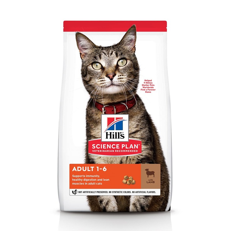 Hills Science Plan Cat Lamb сухой корм для кошек для поддержания жизненной энергии и иммунитета, с ягненком