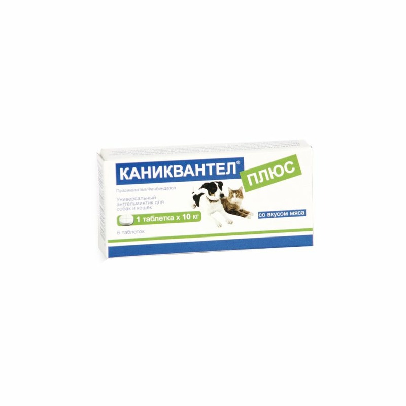 Loxavet Каниквантел Плюс (Caniquantel plus) № 6 антигельминтик для взрослых кошек и взрослых собак всех пород для лечения гельминтозов (1 таб на 10 кг) - 4 г