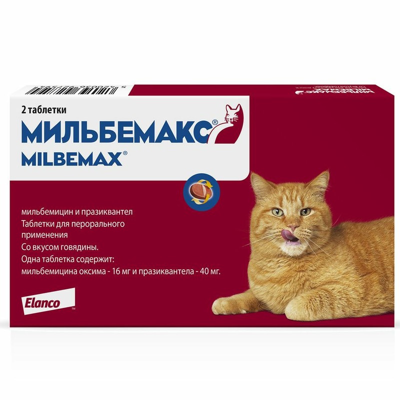 Elanco Мильбемакс таблетки от глистов для крупных кошек (2 таблетки) антигельминтик для котят elanco мильбемакс 2кг 2 таблетки