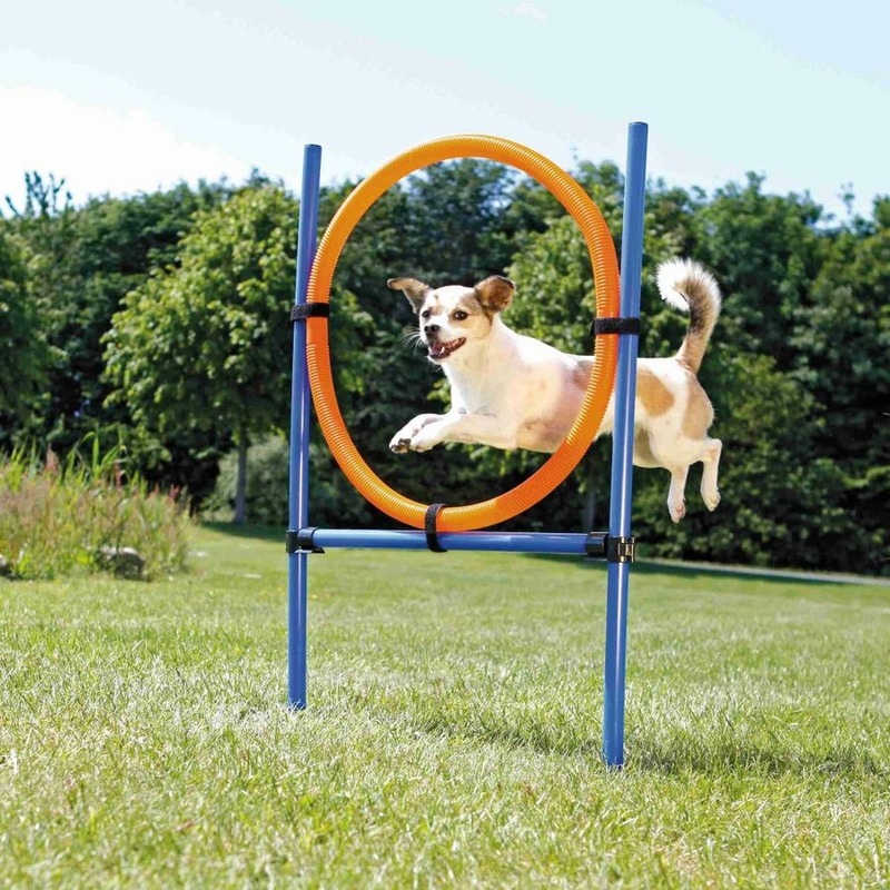Набор для аджилити Trixie Tire Jump для собак пластиковый фотографии