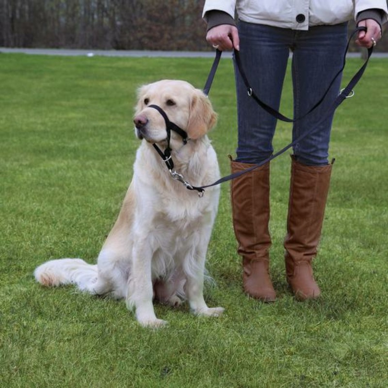 Намордник Trixie для собак тренировочный L-XL 37 см длина поводка 48-60 см шлейка trixie для собак к ремню безопасности в автомобиль xl 80–100 см 25 мм черная