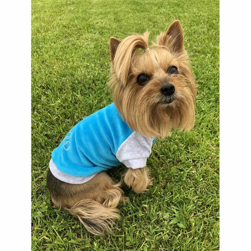 Толстовка OSSO-fashion для собак любого возраста миниатюрных мелких и средних пород из велюра голубого цвета - р. 22 42462