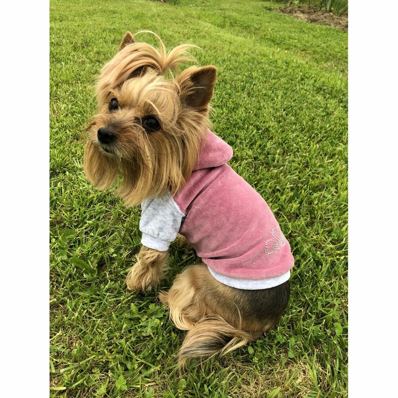 цена Толстовка с капюшоном OSSO-fashion для собак любого возраста миниатюрных мелких и средних пород из велюра розового цвета - р. 30