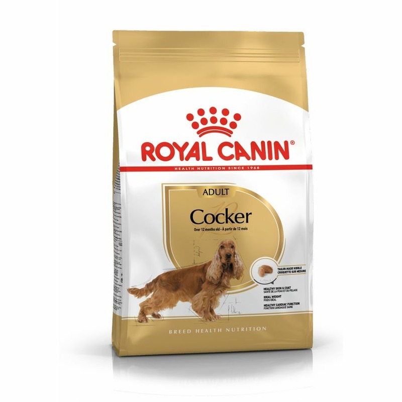 Royal Canin Cocker Adult полнорационный сухой корм для взрослых собак породы кокер-спаниель - 3 кг брелок для собак кличка ирландский водяной спаниель