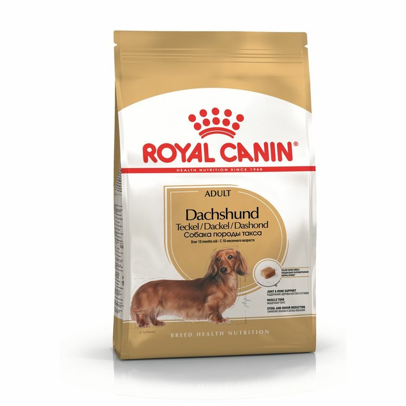 цена Royal Canin Dachshund Adult полнорационный сухой корм для взрослых собак породы такса старше 10 месяцев