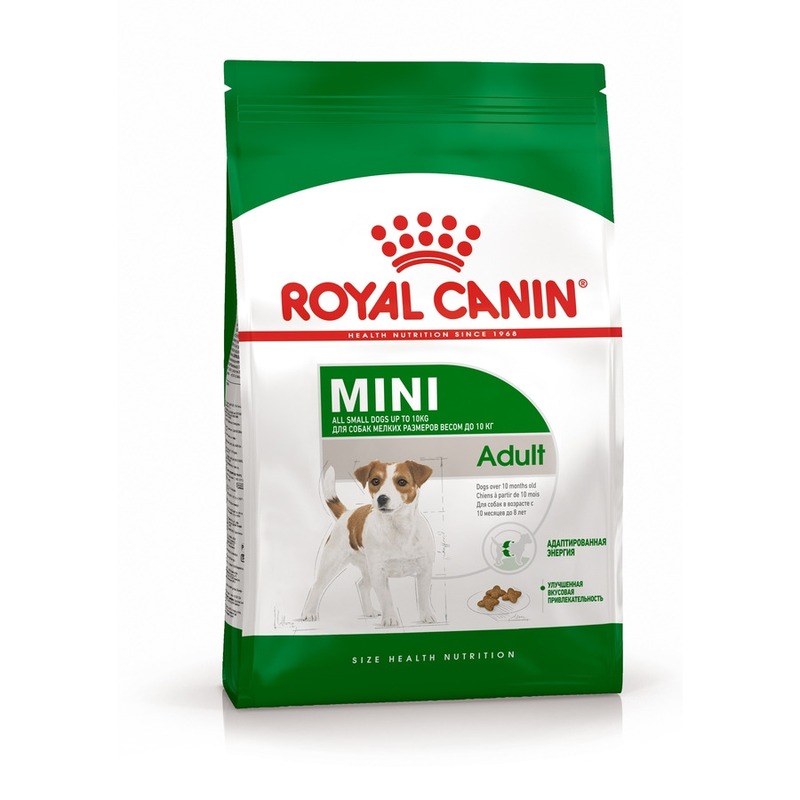 Royal Canin Mini Adult полнорационный сухой корм для взрослых собак мелких пород старше 10 месяцев - 4 кг цена и фото