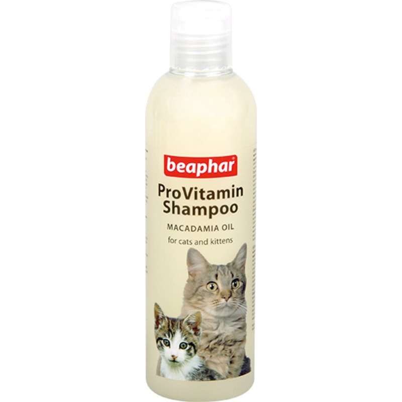 Шампунь Beaphar Pro Vit Macadamia Oil для кошек и котят с чувствительной кожей с маслом австралийского ореха - 250 мл цена и фото