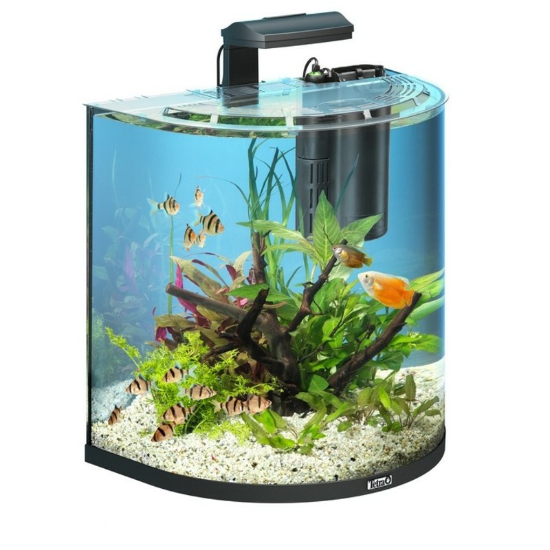 Комплекс Tetra AquaArt Explorer Line LED аквариумный \Полумесяц\ - 60 л, 32х50х50 см аквариум tetra aquaart cray fish 20л