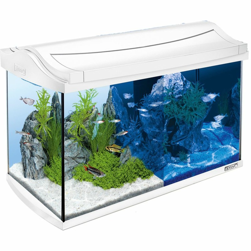цена Tetra AquaArt LED Tropical аквариум белый 60 л, 61,5х34х43 см