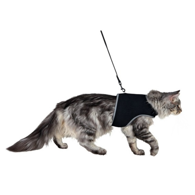 цена Trixie Шлейка мягкая с поводком для кошек, XL: 36-54 см, 1,20 м, чёрный