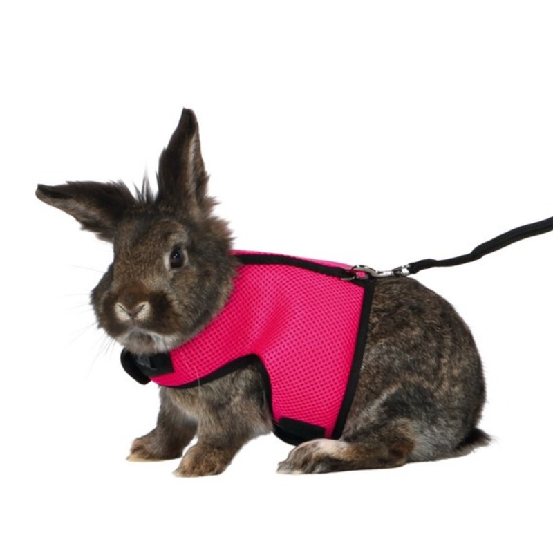 Trixie Шлейка с поводком для кроликов, 25-40см/1,20 м trixie шлейка с поводком для кроликов 25 40см 1 20 м