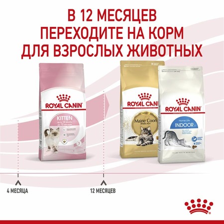 Royal Canin Kitten полнорационный сухой корм для котят в период второй фазы роста до 12 месяцев - 2 кг Дополнительное Превью