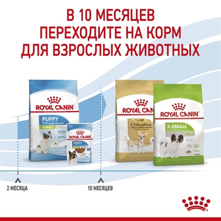 Royal Canin X-Small Puppy полнорационный сухой корм для щенков миниатюрных пород до 10 месяцев - 1,5 кг Дополнительное Превью