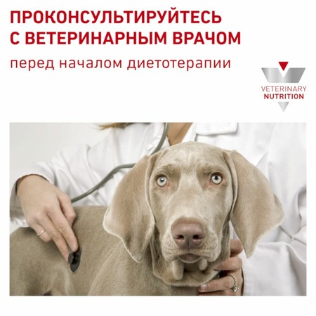 Royal Canin Hypoallergenic HSD 24 Small Dog полнорационный сухой корм для взрослых собак мелких пород при пищевой аллергии или непереносимости, диетический Дополнительное Превью